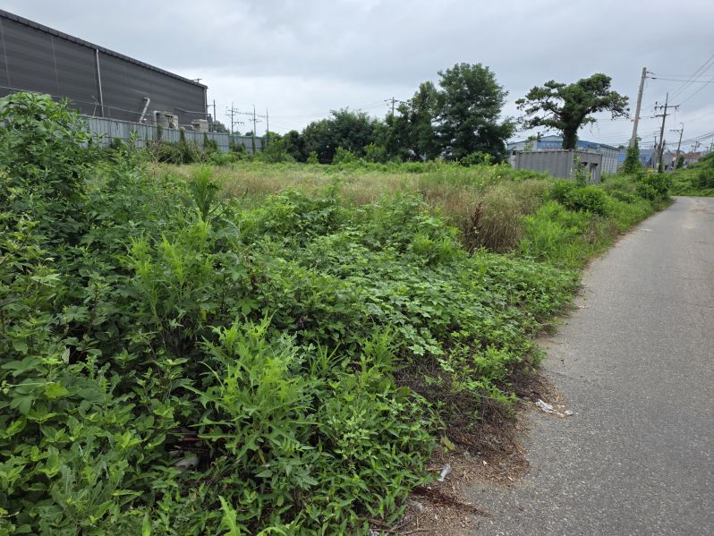 �Ź� �̹���