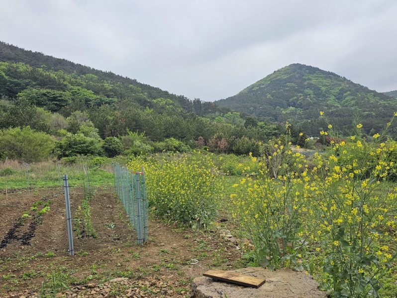 �Ź� �̹���