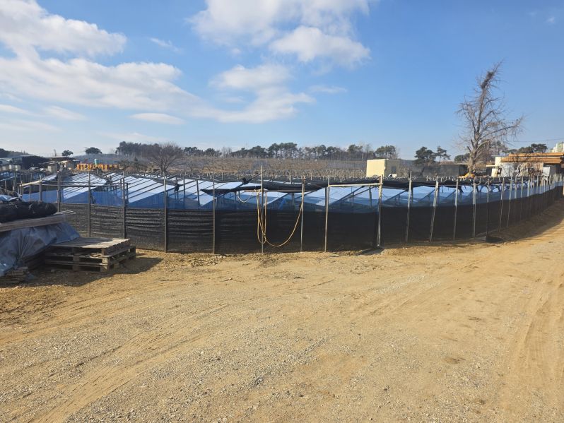 �Ź� �̹���